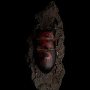 Meet your Posher, Alexander